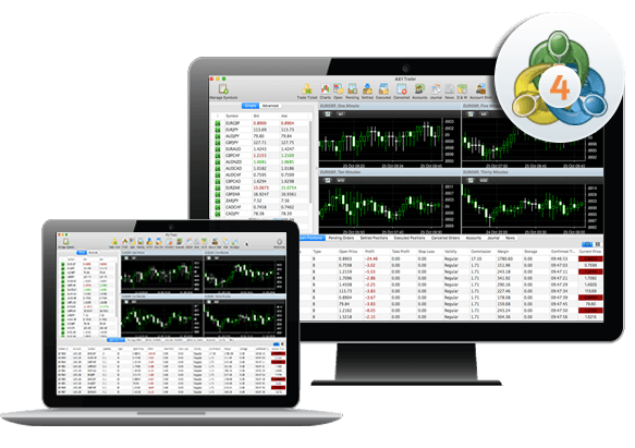 MT 4 Trader for PC